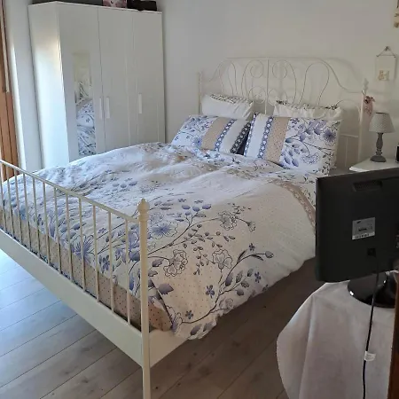 Martha's Flat Feletto Umberto